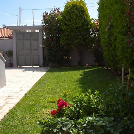 Agios Spyridon  Elias Studio - Near To The Port Of Rafina And The Airport Of Athens מראה חיצוני תמונה